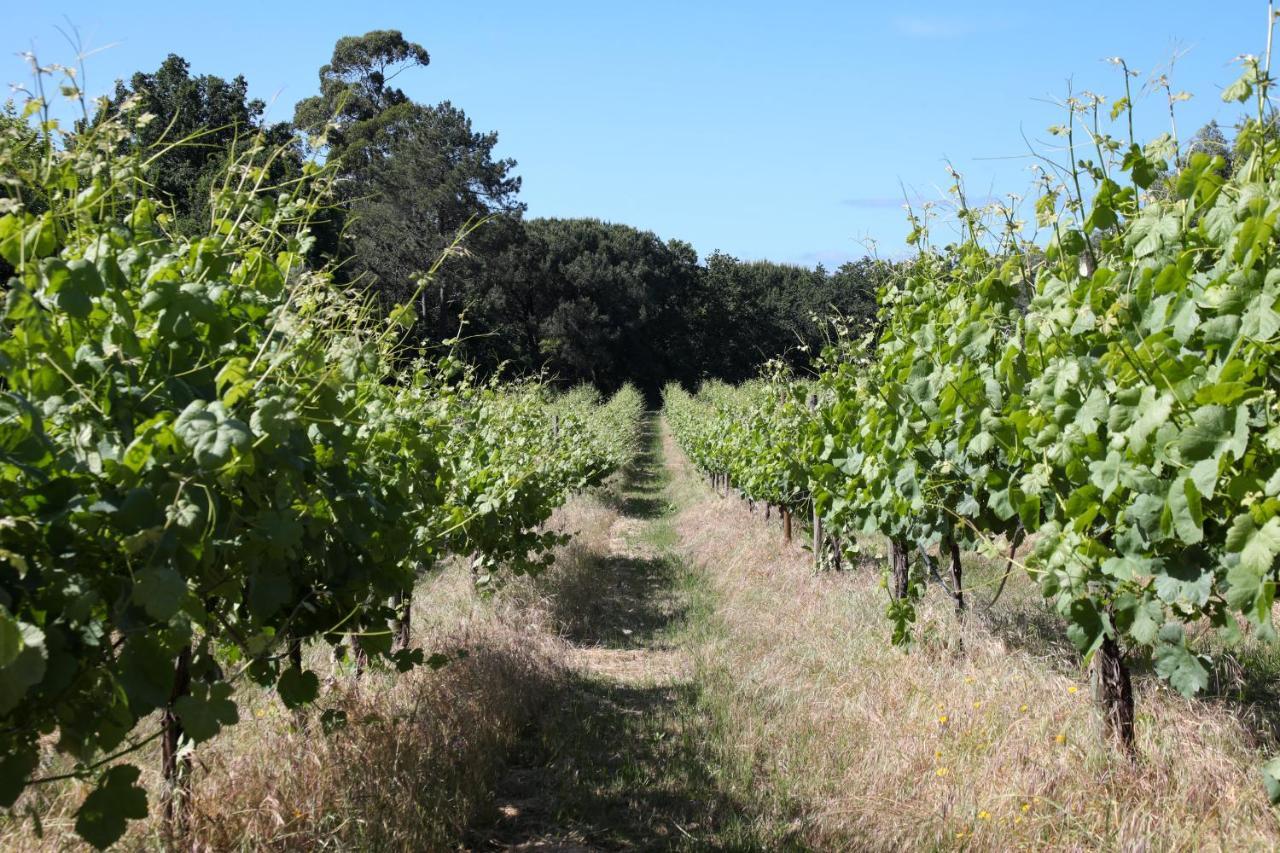 Quinta De Chousas - Braga - Agroturismo Extérieur photo