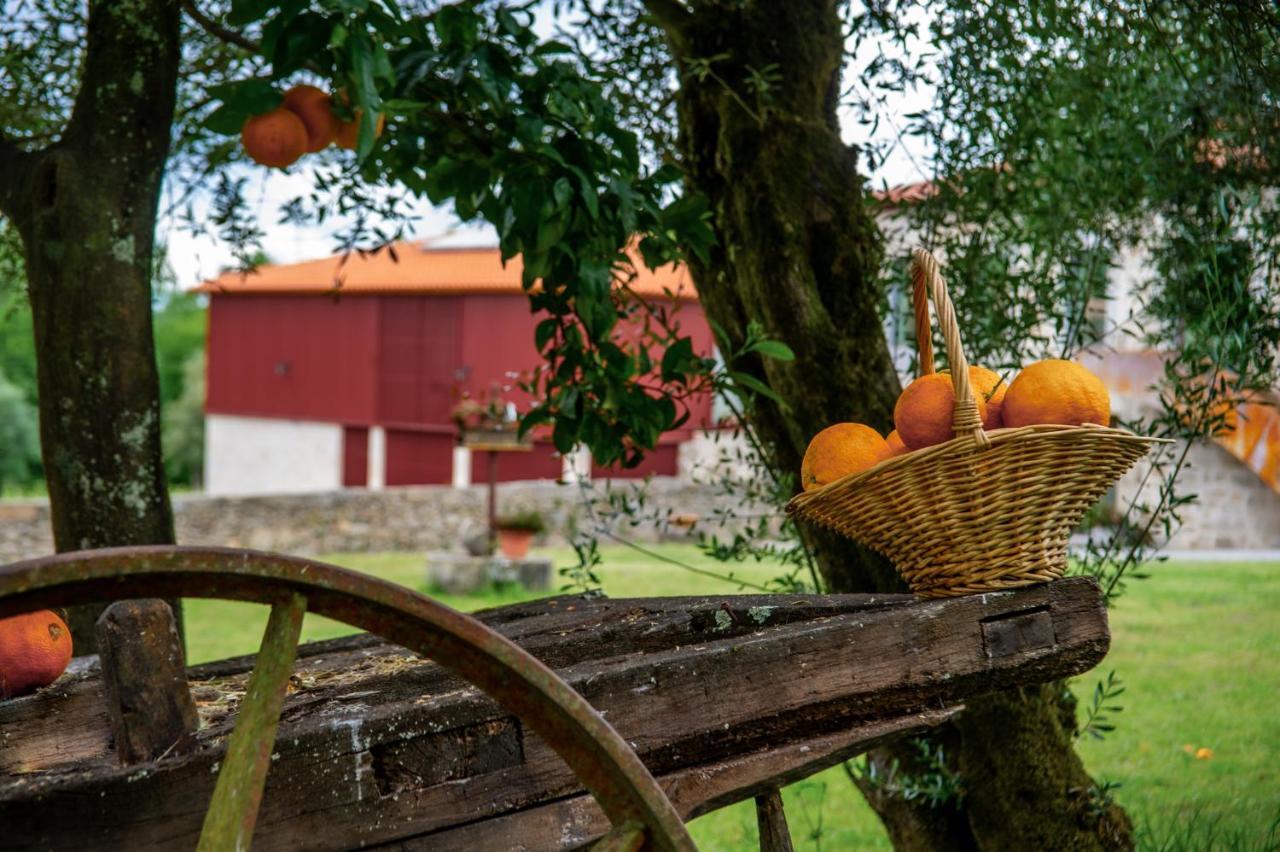 Quinta De Chousas - Braga - Agroturismo Extérieur photo