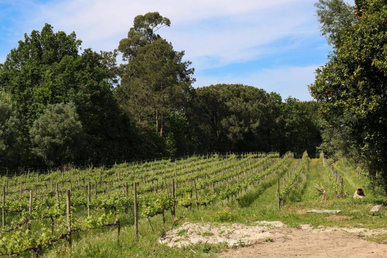 Quinta De Chousas - Braga - Agroturismo Extérieur photo
